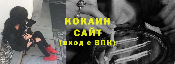 индика Абаза