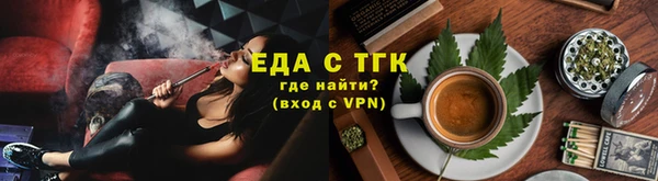 индика Абаза