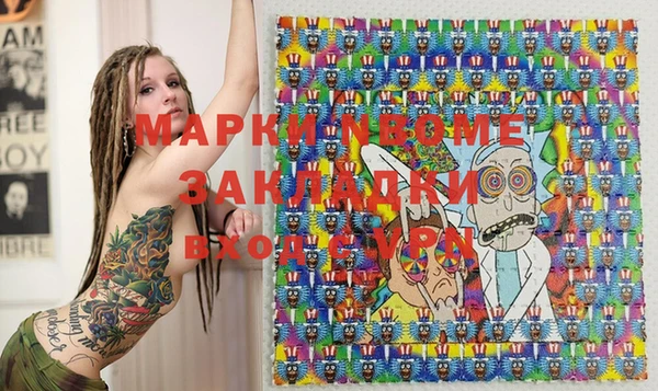 индика Абаза