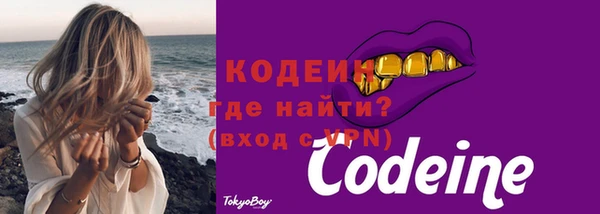 индика Абаза