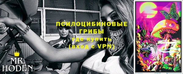 индика Абаза