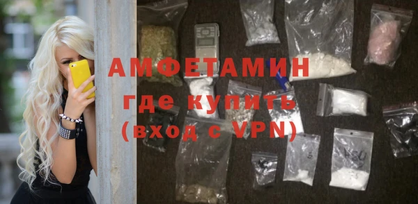 индика Абаза