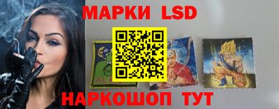 молекула духа Новозыбков