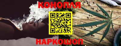 СК Обь