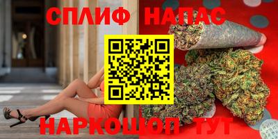 молекула духа Новозыбков