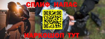 молекула духа Новозыбков
