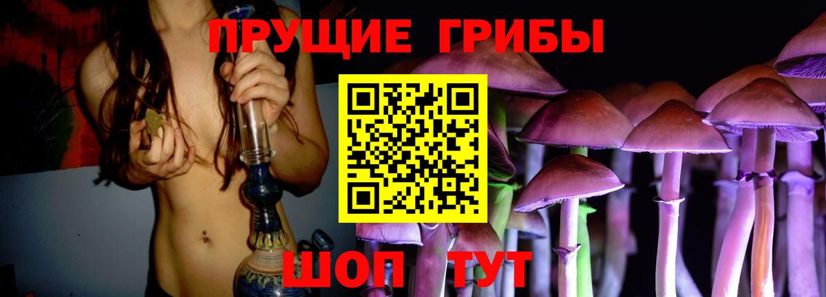 Галлюциногенные грибы Psilocybine cubensis Черкесск